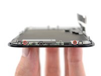 iPhone 11 Display Panel Replacement