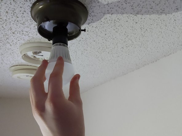 Decorative Light Fixture Lightbulb Replacement: crwdns2935265:06crwdnd2935265:02crwdnd2935265:02crwdne2935265:0