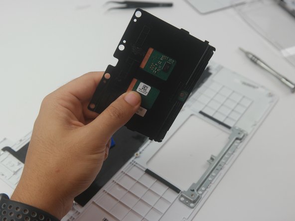 Asus Chromebook C300MA-DH02 Trackpad Replacement: crwdns2935265:07crwdnd2935265:02crwdnd2935265:02crwdne2935265:0