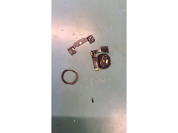 iPad Air 3 Screen Replacement: step 8, image 3 of 3