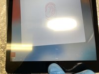 iPad 9 (2021) Screen and Touch Glass (WiFi & Cellular) Replacement