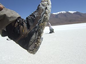 crwdns2886502:0yardenm23crwdne2886502:0