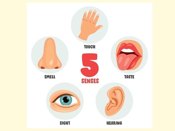 Generic Troubleshooting Guide for Anything Broken, That's Sensible: passo 3, immagine 1 di 1
