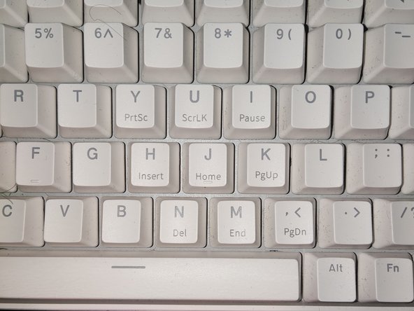 Royal Kludge Rk96 Keyboard Switch Replacement: 8 단계, 이미지 3개 중 3개