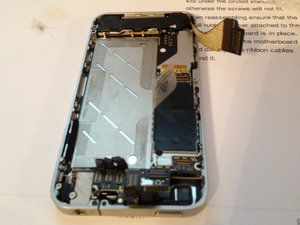 crwdns2886502:0goniscrwdne2886502:0