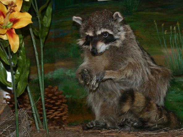 crwdns2853021:0crwdne2853021:0