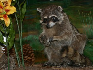 crwdns2886502:0brcpcrwdne2886502:0