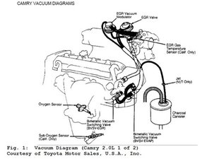 Diagram Of Vacuum Lines For A 1991 Toyota Camary 1991 1996 Toyota Camry Ifixit