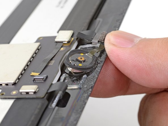 iPad Pro 12.9" Screen Replacement, Remove the home button: crwdns2935265:041crwdnd2935265:02crwdnd2935265:02crwdne2935265:0