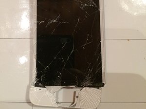 crwdns2886502:0Tommycrwdne2886502:0