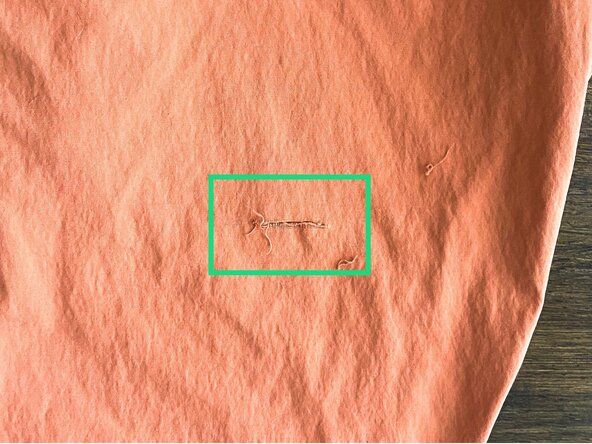 Whip Stitch on a Tear, Assess the damage: crwdns2935265:02crwdnd2935265:02crwdnd2935265:03crwdne2935265:0