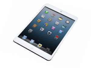 ipad mini 2 white black