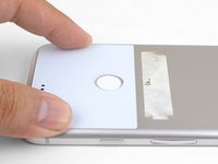 Google Pixel XL Rear Glass Replacement