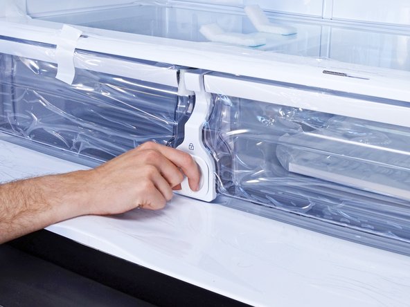 Samsung Water Filter (Horizontal Filter) Replacement, Remove the filter: step 3, image 1 of 2