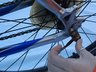 Trek 4300 Bicycle Rear Wheel Image