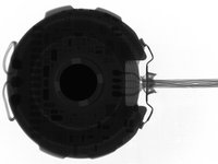 Apple Watch X-ray Teardown