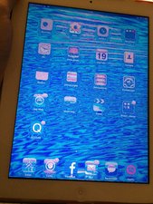 SOLVED ipad 2 My screen is blue after falling. iPad 2 GSM