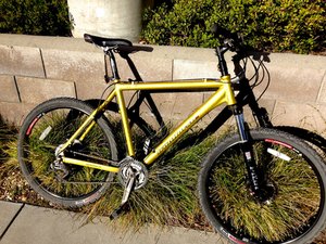 Iron horse deals warrior mountain bike