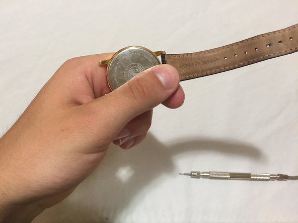 Using your spring bar tool, compress the bar and slide back into place.