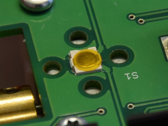 Repair of a cat for therapy, Secure the membrane with adhesive tape: 步骤 5 中的图像 2，3