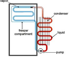 Solved Freezer On Bottom Floor