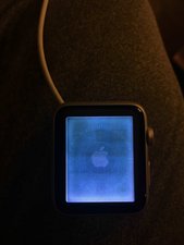 Bought Apple Watch that seems to have water damage or screen burn