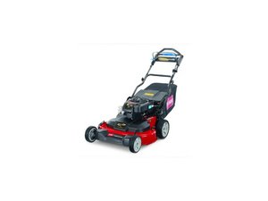 Toro Walk Behind Mowers 21199HD (2017)