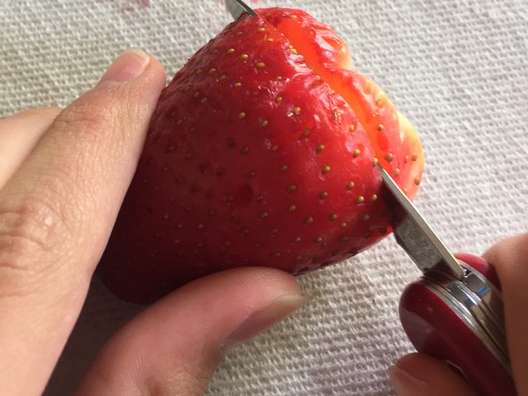 Strawberry Teardown, We got in! (Time for Destruction >:D): crwdns2935265:05crwdnd2935265:02crwdnd2935265:03crwdne2935265:0