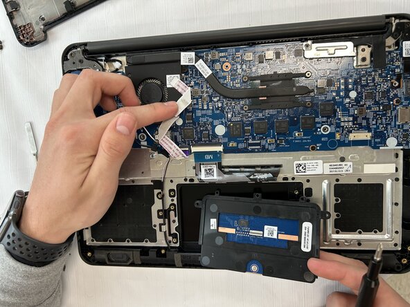 Dell Chromebook 13 3380 Touchpad Replacement: 步骤 7 中的图像 1，1