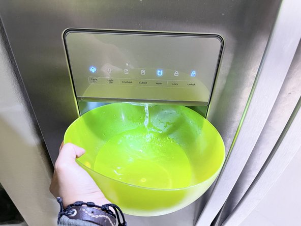 Whirlpool Refrigerator Water Filter Replacement, Flush the water system: crwdns2935265:07crwdnd2935265:02crwdnd2935265:02crwdne2935265:0