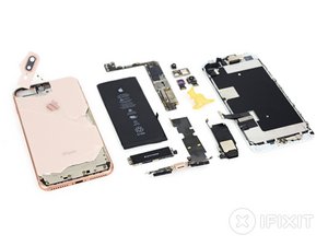 iPhone 8 Plus Teardown 분해