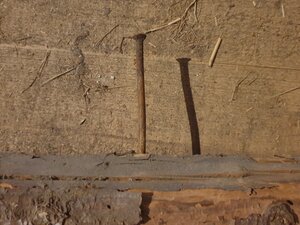 Nail in wood