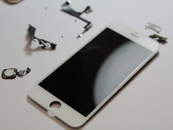 iPhone 6 Teardown: crwdns2935265:013crwdnd2935265:01crwdnd2935265:03crwdne2935265:0