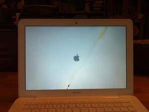 crwdns2886502:0ewingcrwdne2886502:0