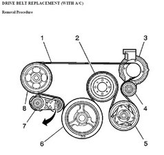 diagram serpentine belt