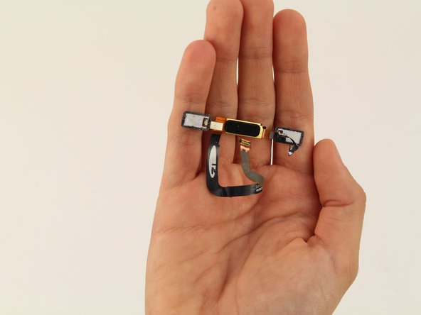 Nokia 6 Rear-Facing Camera Replacement: crwdns2935265:011crwdnd2935265:02crwdnd2935265:02crwdne2935265:0