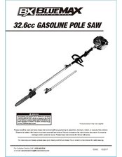 Blue max pole deals saw