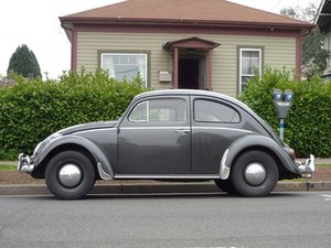 Volkswagen Bug 