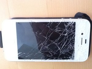 crwdns2886502:0silverstefancrwdne2886502:0