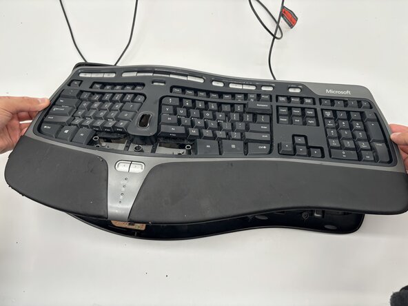 Microsoft Natural Ergonomic Keyboard 4000 v1.0 Motherboard Replacement: step 4, image 2 of 2