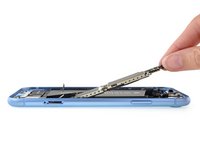 iPhone XR Teardown