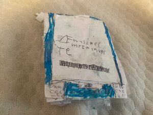 Whisker mp3 player te Teardown