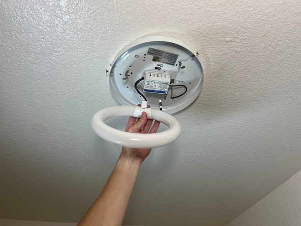 Circline Fluorescent Light Bulb Replacement: crwdns2935265:06crwdnd2935265:03crwdnd2935265:03crwdne2935265:0