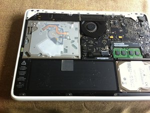 crwdns2886502:0stevethomas9crwdne2886502:0