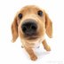 crwdns2933455:0Jasmine Turnercrwdne2933455:0