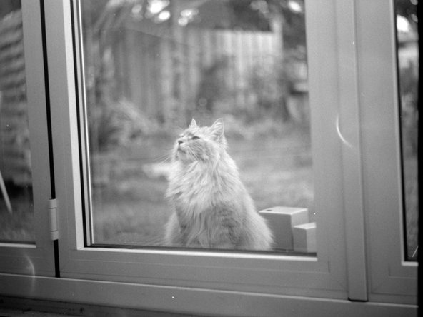 Foth Flex TLR Camera Restoration: crwdns2935265:017crwdnd2935265:02crwdnd2935265:03crwdne2935265:0