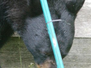 crwdns2886502:0Martincrwdne2886502:0