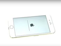 iPhone 6s/6s Plus/7/7 Plus Bottom Screws