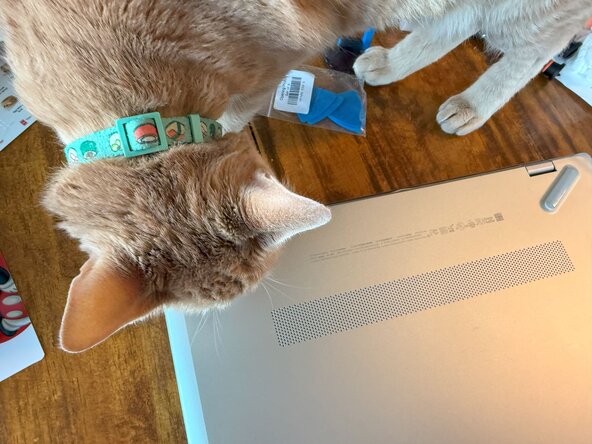 HP Pavilion-15-cs3063cl Battery Replacement, Orient Laptop Properly, Remove Distractions: crwdns2935265:01crwdnd2935265:02crwdnd2935265:02crwdne2935265:0