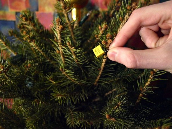 Christmas Tree Teardown: crwdns2935265:05crwdnd2935265:03crwdnd2935265:03crwdne2935265:0